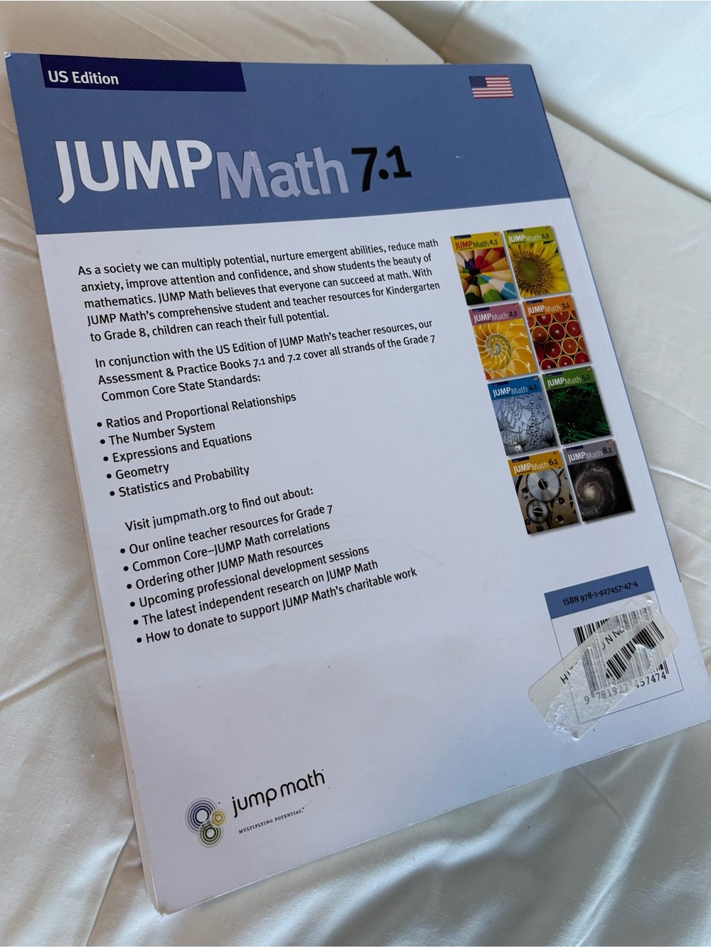 Jump Math 7.1 Assessment and Practice. - Picture 4 of 5